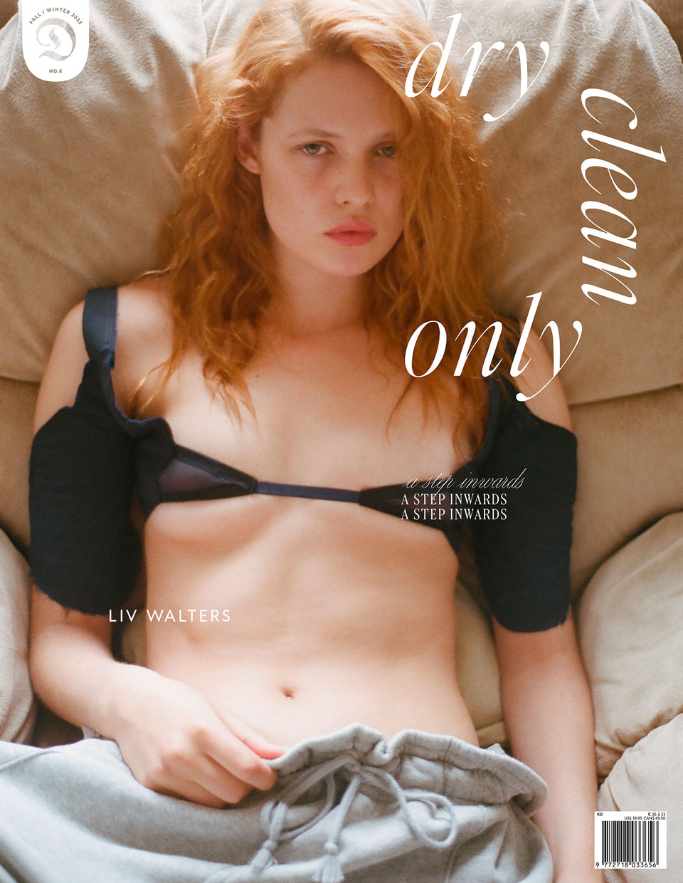 Dry Clean Only Issue 6 Cover 1