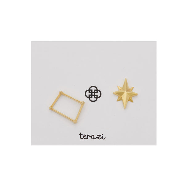 Zodiac Sign Earrings