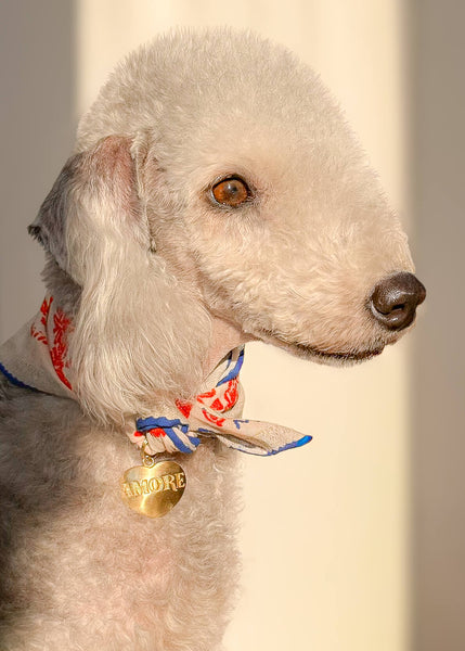 Mavi Lovefold Bandana - Pet + İnsan Aksesuarı