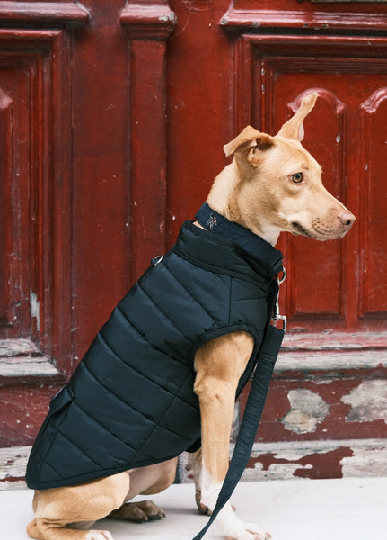 HIVE PUFFER COAT