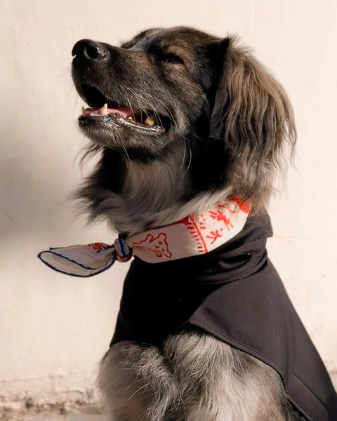 Mavi Lovefold Bandana - Pet + İnsan Aksesuarı