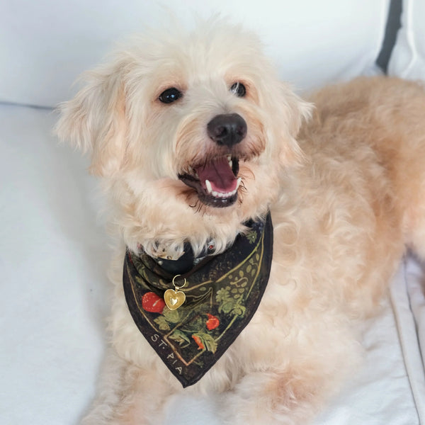 Berry BFF Bandana - Pet + İnsan Aksesuarı