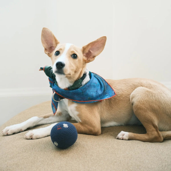 Polka Dot El Yapımı Kedi + Köpek Oyuncağı