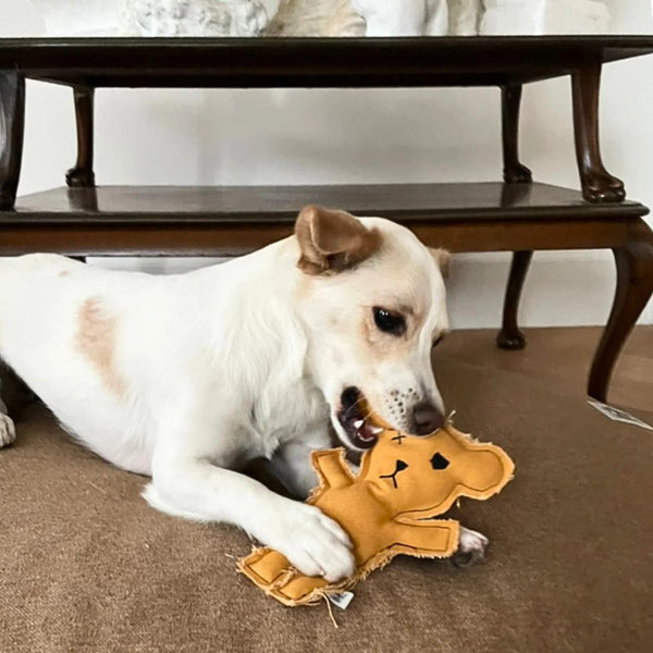 Robear El Yapımı Kedi + Köpek Oyuncağı