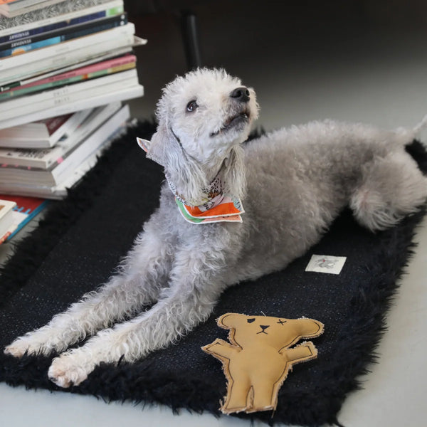 Robear El Yapımı Kedi + Köpek Oyuncağı