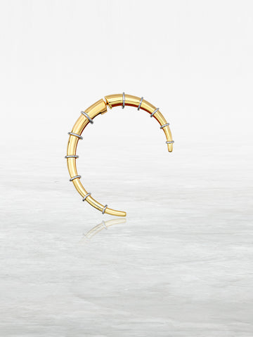 Sodium Mono Earring Gold