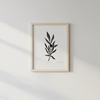 Olive Branch ✦ Orjinal Linöl Baskı