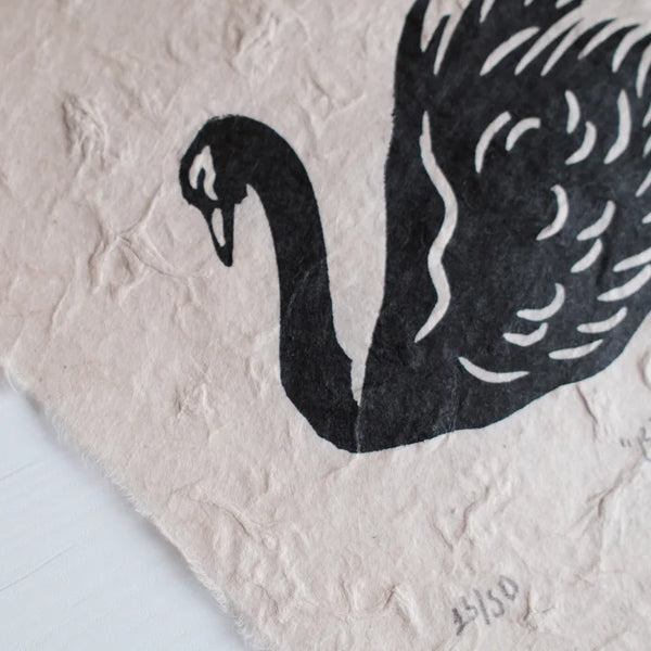 Black Swan - Orjinal Linöl Baskı