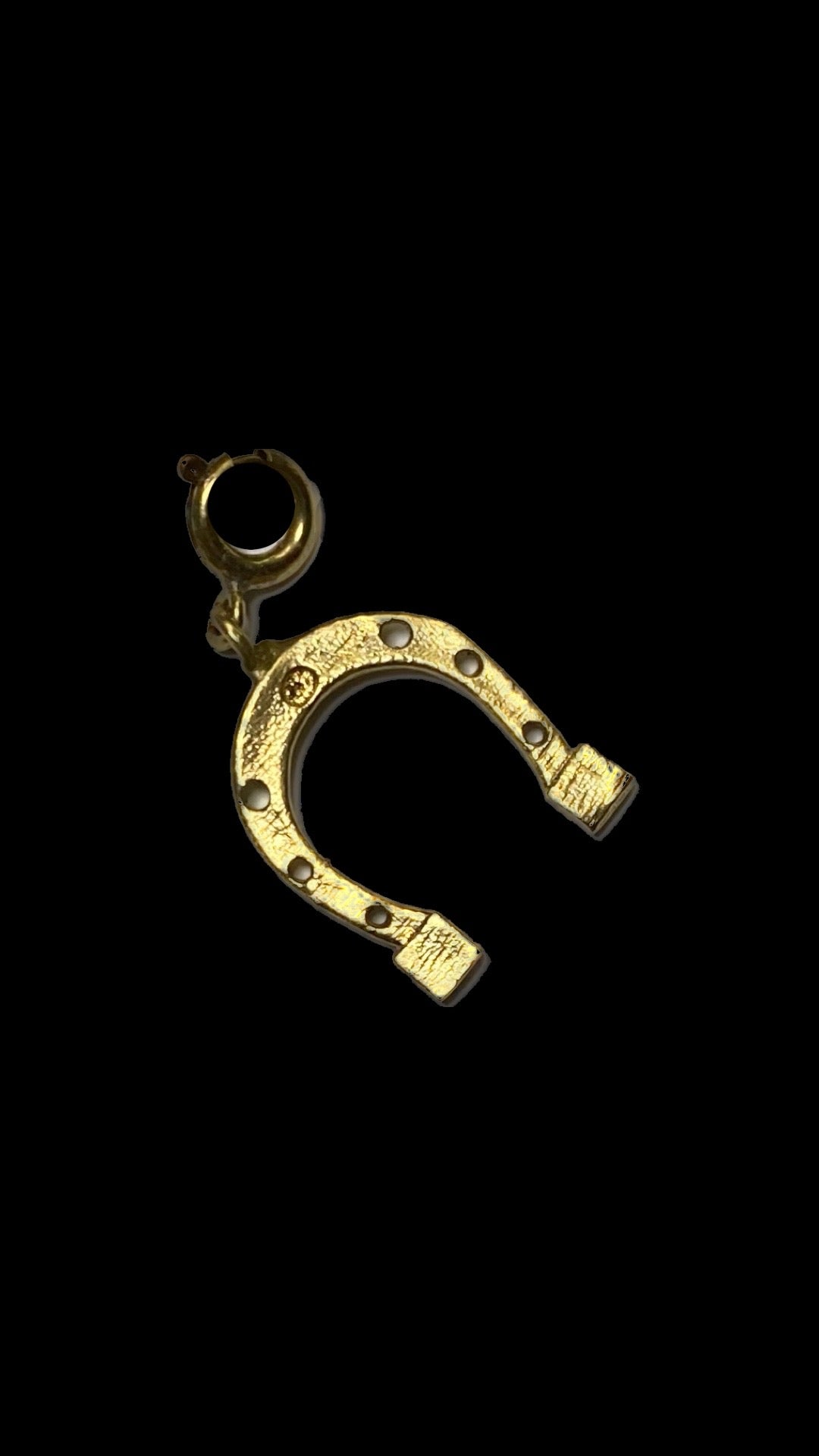 Mae Zae lucky horseshoe charm