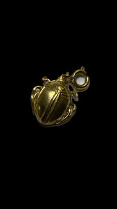 Mae Zae Beetle Charm