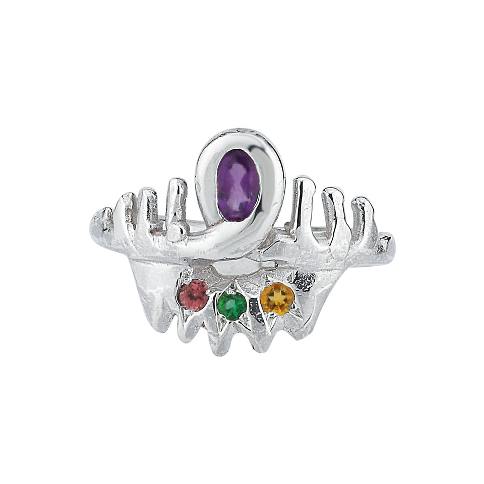 Jewels for Joy Third Eye Ring
