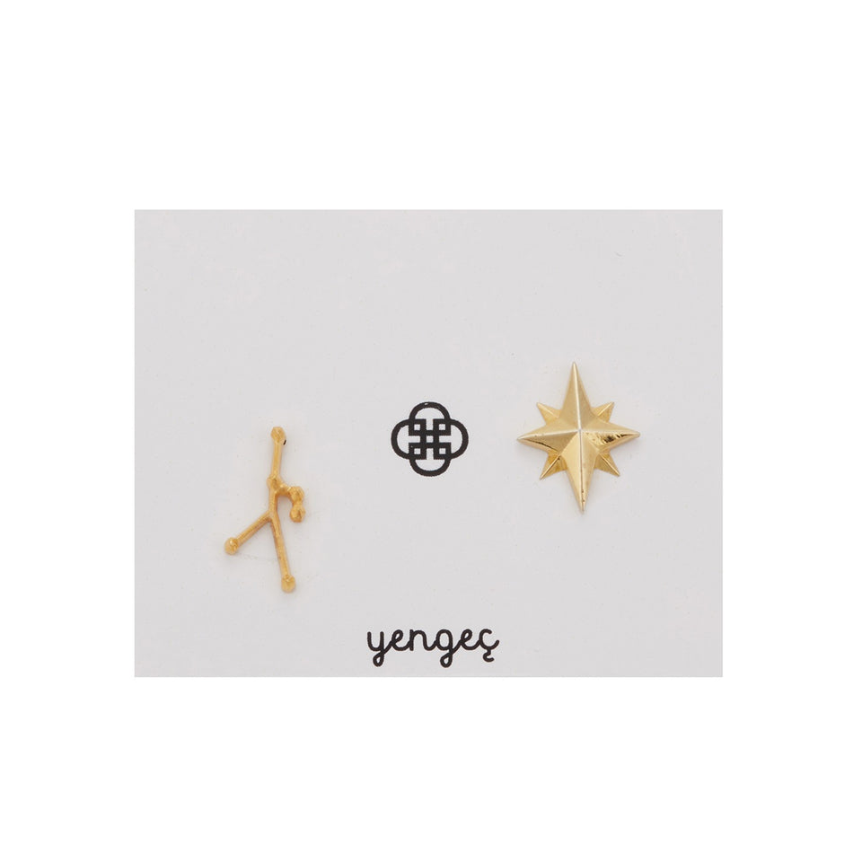 Zodiac Sign Earrings