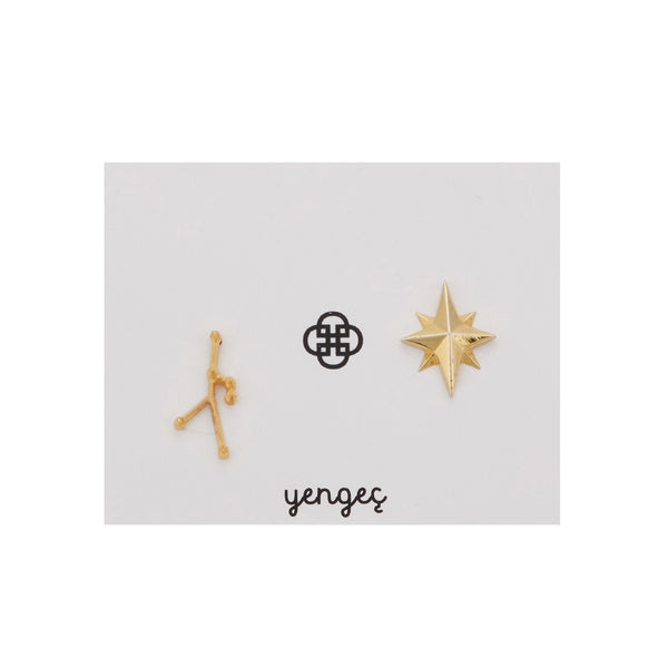 Zodiac Sign Earrings