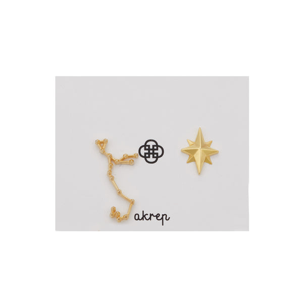 Zodiac Sign Earrings