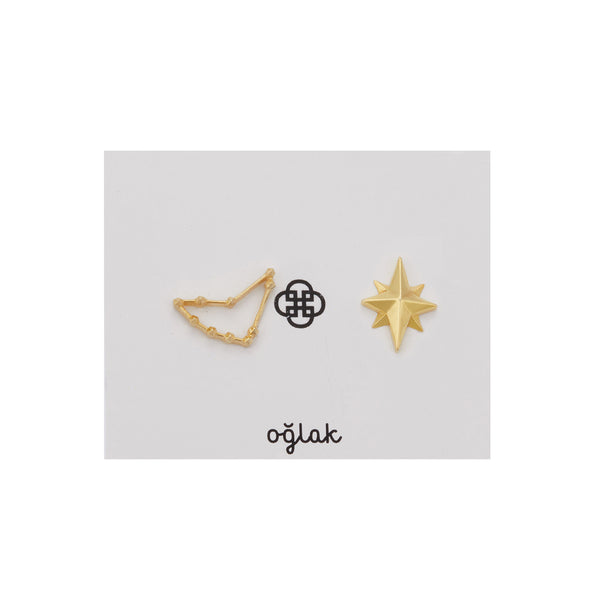 Zodiac Sign Earrings