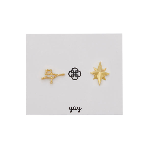 Zodiac Sign Earrings