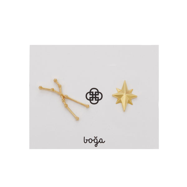 Zodiac Sign Earrings