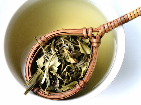 WHITE TEA