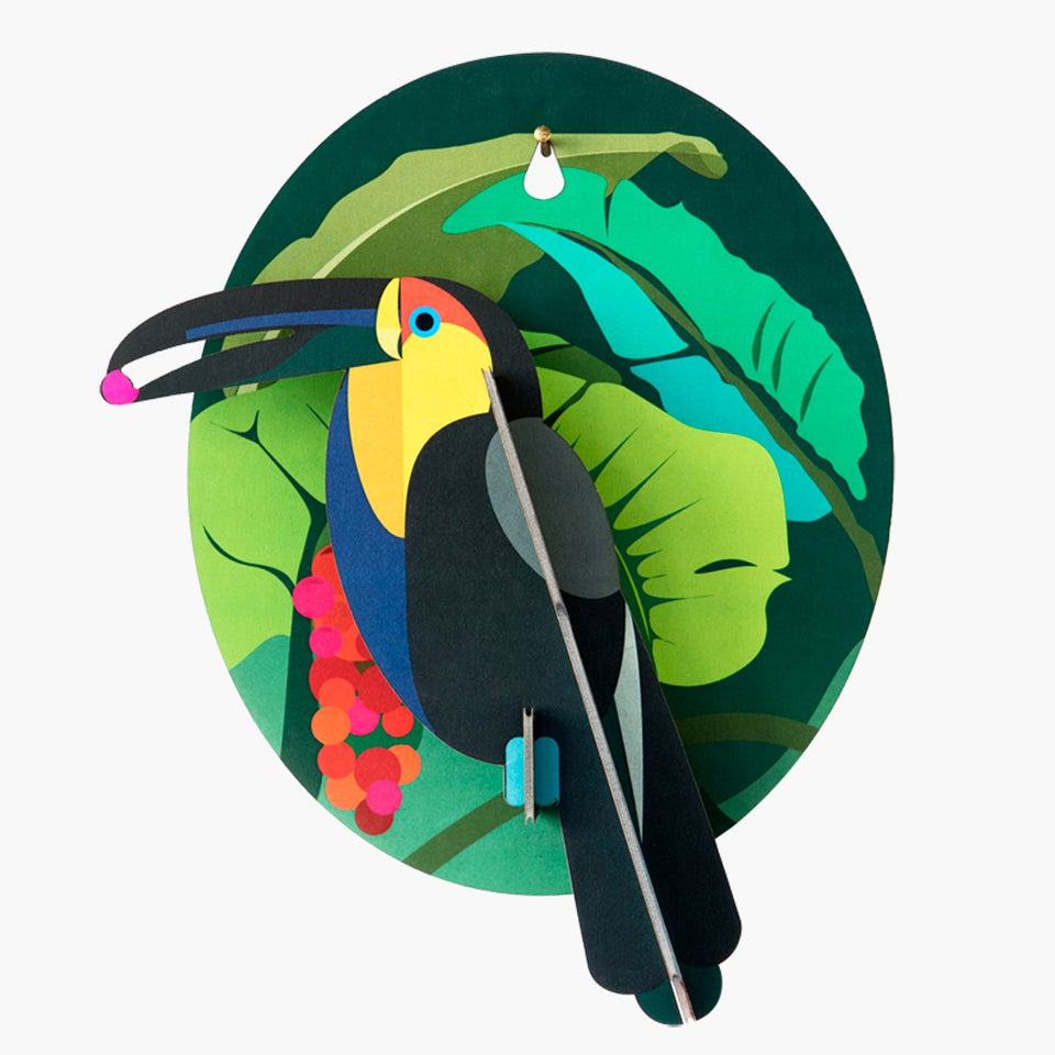 Hardy Toucan